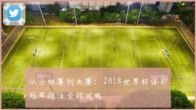 从小组赛到决赛：2018世界杯体彩冠军投注全程攻略